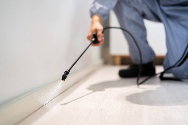 Bed Bug Pre-Treatment Preparation Assessment in Pleasant Valley