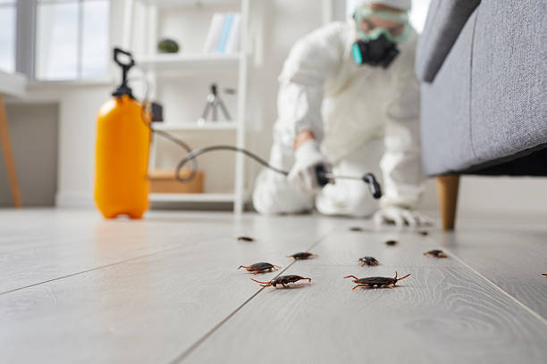 Post-Treatment Bed Bug Interceptor Monitoring in Pleasant Valley