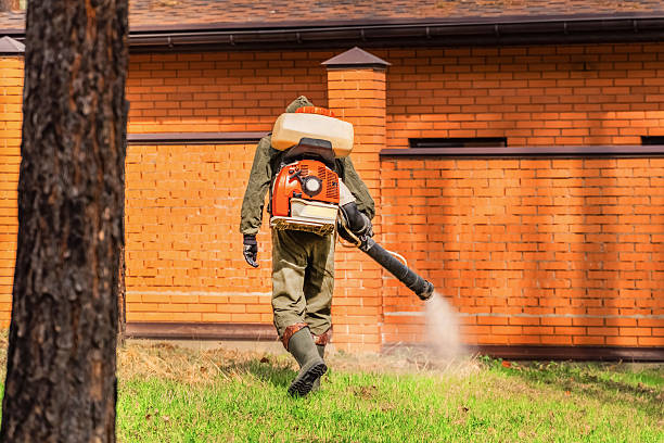 Bed Bug Clearance Verification and Documentation in Pleasant Valley